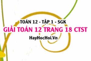 Giải Toán 12 trang 18 tập 1 Chân trời sáng tạo